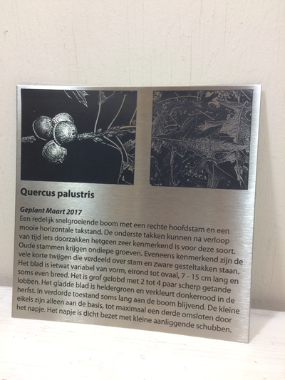 fotos/Fotoopijzer-metuitleg-park-quercus-palustris-18-12-origineelpersoonlijkcadeau-sandd-art.jpg
